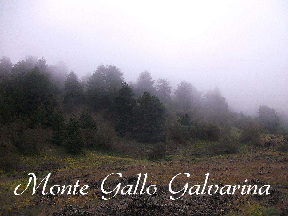 Monte Gallo Galvarina